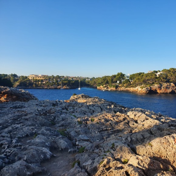 Bundle 3 and Save 10%! 🛍 Meet your Posher, Nicole - Picture 1 of 1